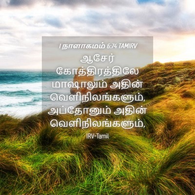 Picture 04 - 1 நாளாகமம் 6:74 TAMIRV - ஆசேர் - Bible Verse Picture