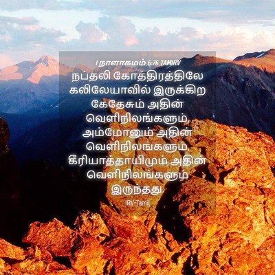 Picture 04 - 1 நாளாகமம் 6:76 TAMIRV - நப்தலி - Bible Verse Picture