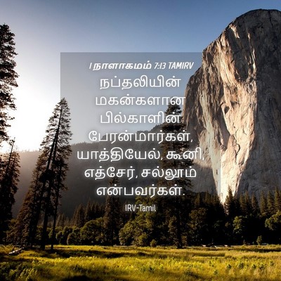Picture 04 - 1 நாளாகமம் 7:13 TAMIRV - நப்தலியின் - Bible Verse Picture