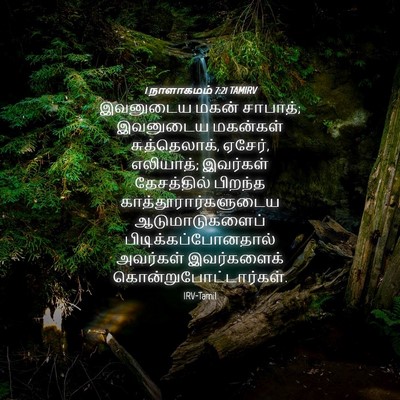 Picture 04 - 1 நாளாகமம் 7:21 TAMIRV - இவனுடைய மகன் - Bible Verse Picture