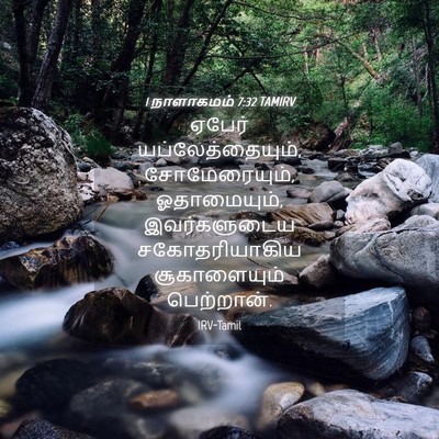 Picture 04 - 1 நாளாகமம் 7:32 TAMIRV - ஏபேர் - Bible Verse Picture