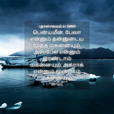 Picture 04 - 1 நாளாகமம் 8:1 TAMIRV - பென்யமீன், பேலா - Bible Verse Picture