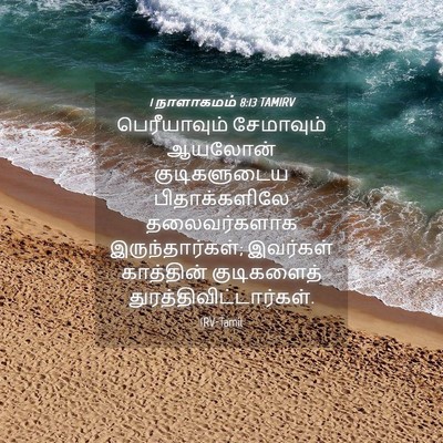 Picture 04 - 1 நாளாகமம் 8:13 TAMIRV - பெரீயாவும் - Bible Verse Picture