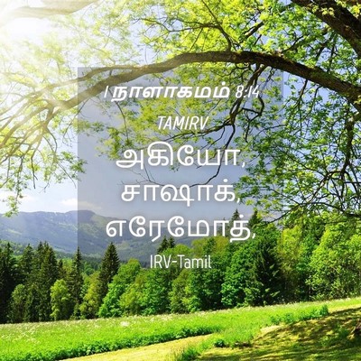 Picture 04 - 1 நாளாகமம் 8:14 TAMIRV - அகியோ, சாஷாக், - Bible Verse Picture