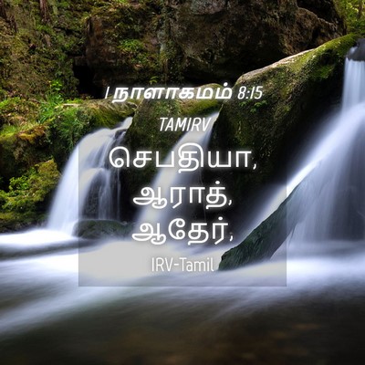 Picture 04 - 1 நாளாகமம் 8:15 TAMIRV - செபதியா, ஆராத், - Bible Verse Picture