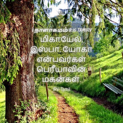 Picture 04 - 1 நாளாகமம் 8:16 TAMIRV - மிகாயேல், இஸ்பா, - Bible Verse Picture