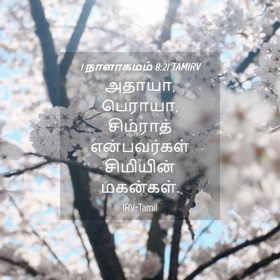 Picture 04 - 1 நாளாகமம் 8:21 TAMIRV - அதாயா, பெராயா, - Bible Verse Picture