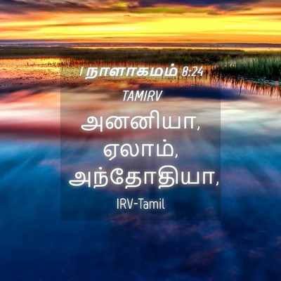 Picture 04 - 1 நாளாகமம் 8:24 TAMIRV - அனனியா, ஏலாம், - Bible Verse Picture
