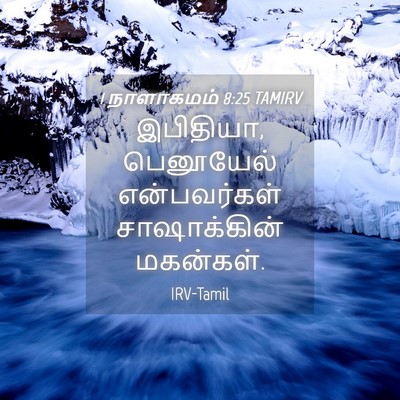 Picture 04 - 1 நாளாகமம் 8:25 TAMIRV - இபிதியா, பெனூயேல் - Bible Verse Picture