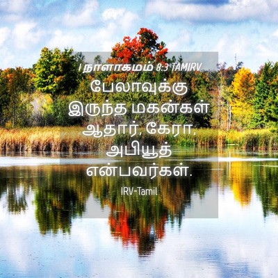 Picture 04 - 1 நாளாகமம் 8:3 TAMIRV - பேலாவுக்கு இருந்த - Bible Verse Picture