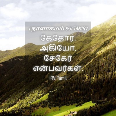 Picture 04 - 1 நாளாகமம் 8:31 TAMIRV - கேதோர், அகியோ, - Bible Verse Picture