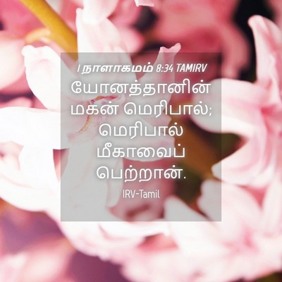 Picture 04 - 1 நாளாகமம் 8:34 TAMIRV - யோனத்தானின் மகன் - Bible Verse Picture