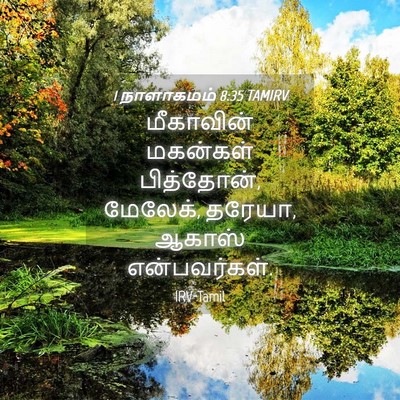 Picture 04 - 1 நாளாகமம் 8:35 TAMIRV - மீகாவின் மகன்கள் - Bible Verse Picture