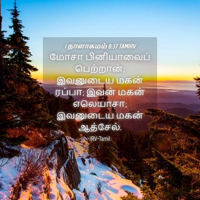 Picture 04 - 1 நாளாகமம் 8:37 TAMIRV - மோசா பினியாவைப் - Bible Verse Picture