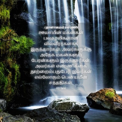 Picture 04 - 1 நாளாகமம் 8:40 TAMIRV - ஊலாமின் மகன்கள் - Bible Verse Picture