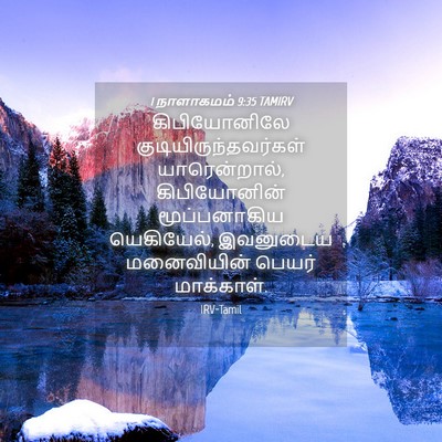 Picture 04 - 1 நாளாகமம் 9:35 TAMIRV - கிபியோனிலே - Bible Verse Picture