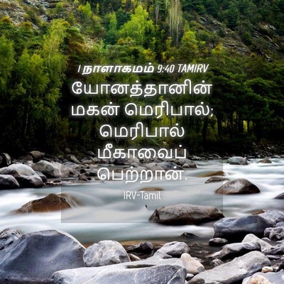 Picture 04 - 1 நாளாகமம் 9:40 TAMIRV - யோனத்தானின் மகன் - Bible Verse Picture