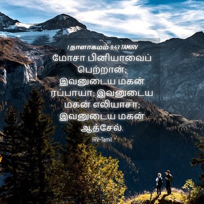 Picture 04 - 1 நாளாகமம் 9:43 TAMIRV - மோசா பினியாவைப் - Bible Verse Picture