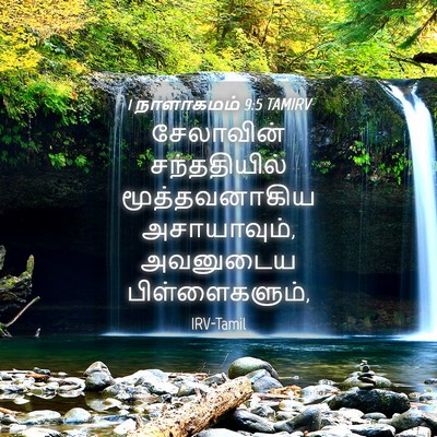 Picture 04 - 1 நாளாகமம் 9:5 TAMIRV - சேலாவின் - Bible Verse Picture
