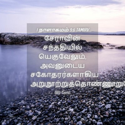 Picture 04 - 1 நாளாகமம் 9:6 TAMIRV - சேராவின் - Bible Verse Picture