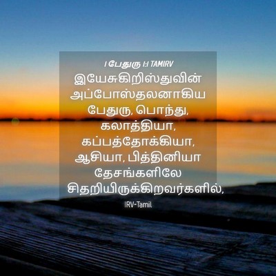 Picture 04 - 1 பேதுரு 1:1 TAMIRV -  - Bible Verse Picture