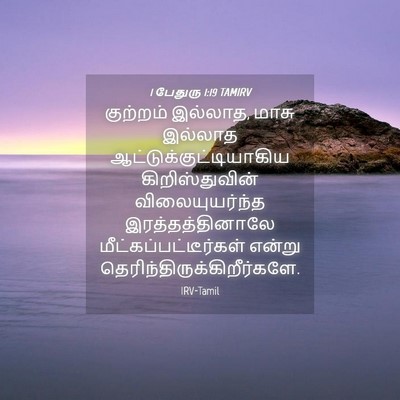Picture 04 - 1 பேதுரு 1:19 TAMIRV - குற்றம் இல்லாத, - Bible Verse Picture