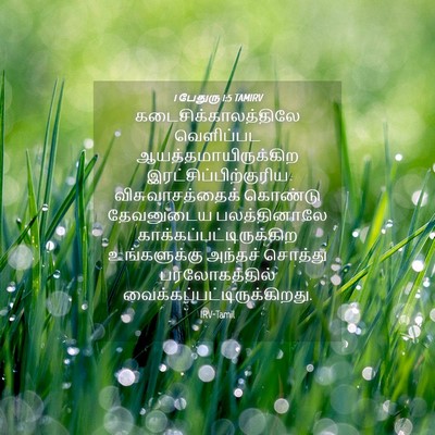 Picture 04 - 1 பேதுரு 1:5 TAMIRV - கடைசிக்காலத்திலே - Bible Verse Picture