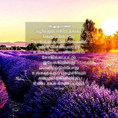 Picture 04 - 1 பேதுரு 1:7 TAMIRV - அழிந்துபோகிற - Bible Verse Picture
