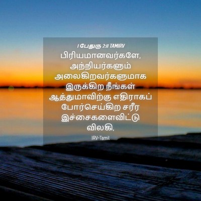 Picture 04 - 1 பேதுரு 2:11 TAMIRV - பிரியமானவர்களே, - Bible Verse Picture