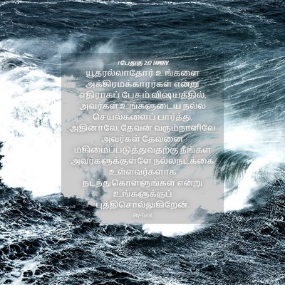 Picture 04 - 1 பேதுரு 2:12 TAMIRV - யூதரல்லாதோர் - Bible Verse Picture