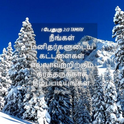Picture 04 - 1 பேதுரு 2:13 TAMIRV - நீங்கள் - Bible Verse Picture