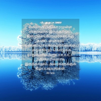Picture 04 - 1 பேதுரு 2:14 TAMIRV - மேலான அதிகாரமுள்ள - Bible Verse Picture
