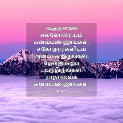 Picture 04 - 1 பேதுரு 2:17 TAMIRV - எல்லோரையும் - Bible Verse Picture