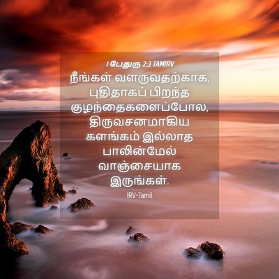 Picture 04 - 1 பேதுரு 2:3 TAMIRV - நீங்கள் - Bible Verse Picture