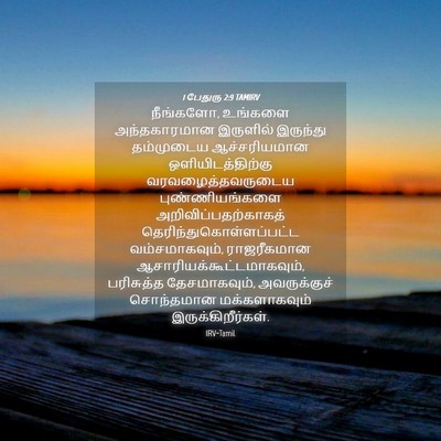Picture 04 - 1 பேதுரு 2:9 TAMIRV - நீங்களோ, உங்களை - Bible Verse Picture
