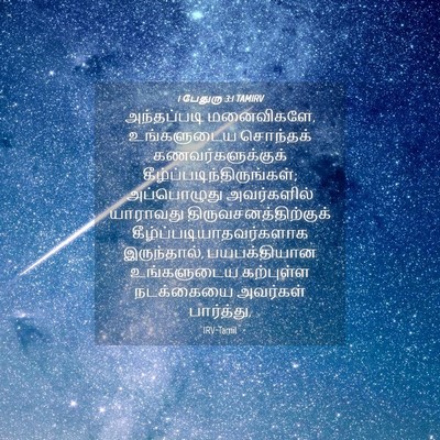 Picture 04 - 1 பேதுரு 3:1 TAMIRV - அந்தப்படி - Bible Verse Picture