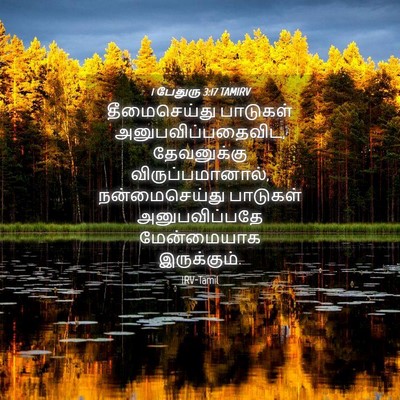 Picture 04 - 1 பேதுரு 3:17 TAMIRV - தீமைசெய்து - Bible Verse Picture