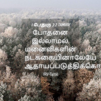 Picture 04 - 1 பேதுரு 3:2 TAMIRV - போதனை இல்லாமல், - Bible Verse Picture