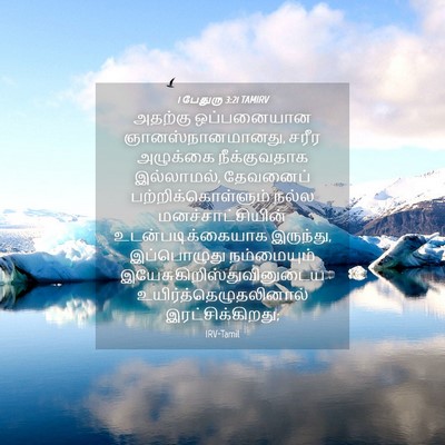 Picture 04 - 1 பேதுரு 3:21 TAMIRV - அதற்கு ஒப்பனையான - Bible Verse Picture