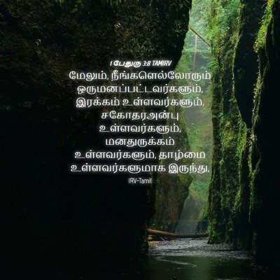 Picture 04 - 1 பேதுரு 3:8 TAMIRV - மேலும், - Bible Verse Picture
