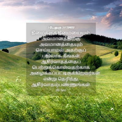 Picture 04 - 1 பேதுரு 3:9 TAMIRV - தீமைக்குத் - Bible Verse Picture