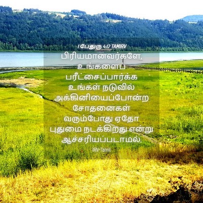 Picture 04 - 1 பேதுரு 4:12 TAMIRV - பிரியமானவர்களே, - Bible Verse Picture