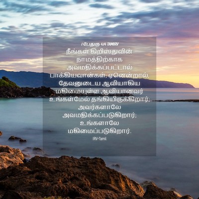 Picture 04 - 1 பேதுரு 4:14 TAMIRV - நீங்கள் - Bible Verse Picture