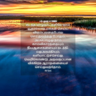Picture 04 - 1 பேதுரு 4:3 TAMIRV - கடந்த - Bible Verse Picture