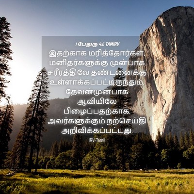 Picture 04 - 1 பேதுரு 4:6 TAMIRV - இதற்காக - Bible Verse Picture