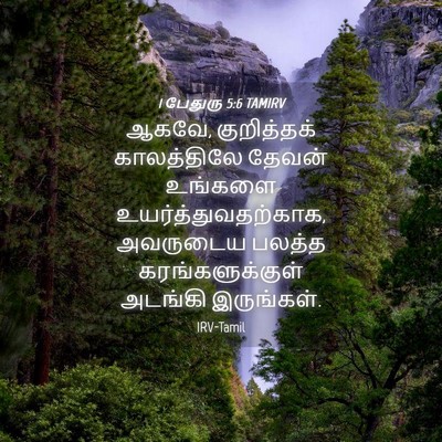 Picture 04 - 1 பேதுரு 5:6 TAMIRV - ஆகவே, குறித்தக் - Bible Verse Picture