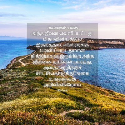 Picture 04 - 1 யோவான் 1:2 TAMIRV - அந்த ஜீவன் - Bible Verse Picture