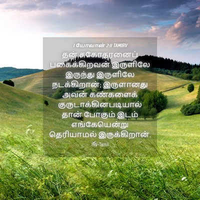 Picture 04 - 1 யோவான் 2:11 TAMIRV - தன் சகோதரனைப் - Bible Verse Picture
