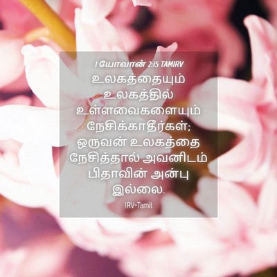 Picture 04 - 1 யோவான் 2:15 TAMIRV - உலகத்தையும் - Bible Verse Picture