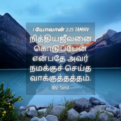 Picture 04 - 1 யோவான் 2:25 TAMIRV - நித்தியஜீவனை - Bible Verse Picture